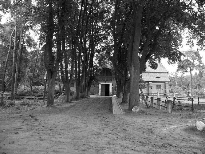 Ujeżdżalnia 