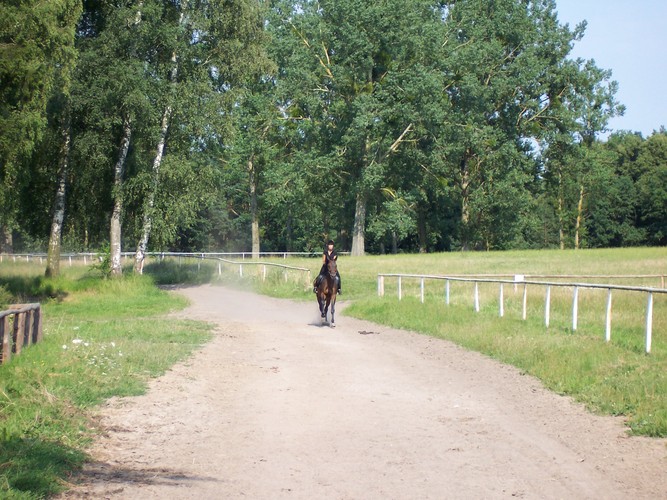 Jazda konna dla zaawansowanych