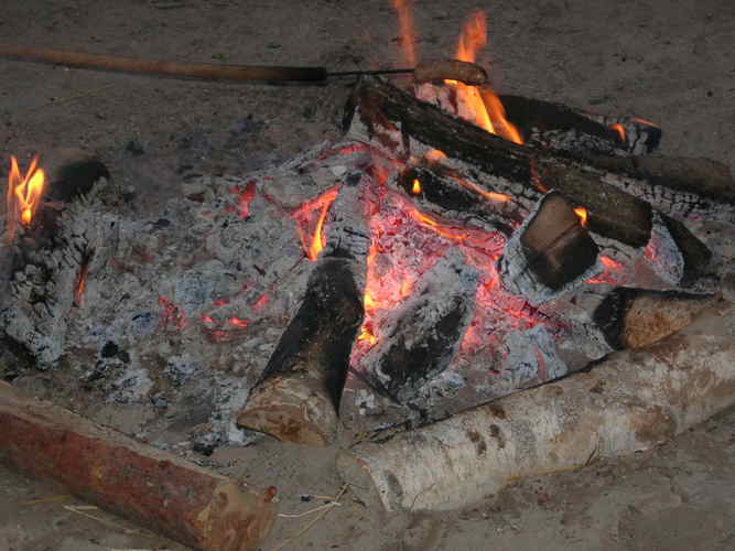 Ognisko